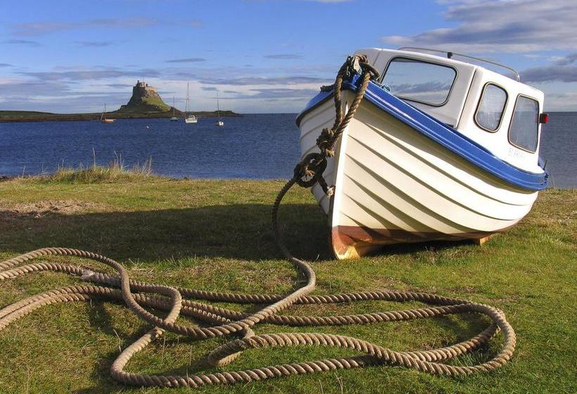 Bed and Breakfast Springwood 13