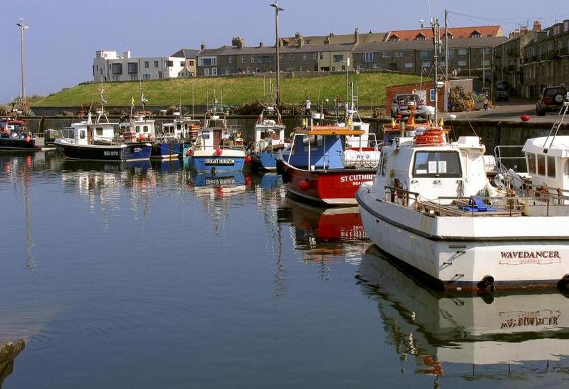 Bed and Breakfast Springwood 14