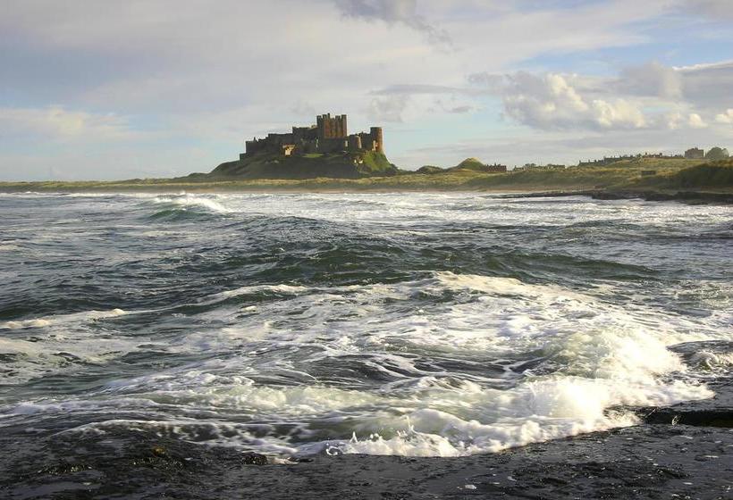 Bed and Breakfast Springwood 15