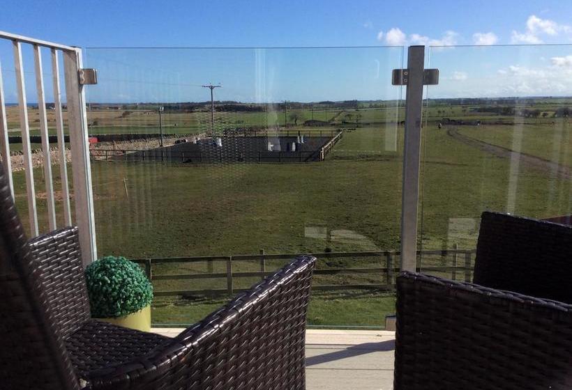 Bed and Breakfast Springwood 3