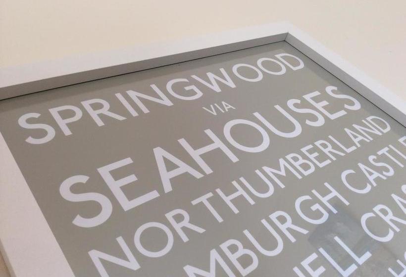 Bed and Breakfast Springwood 7