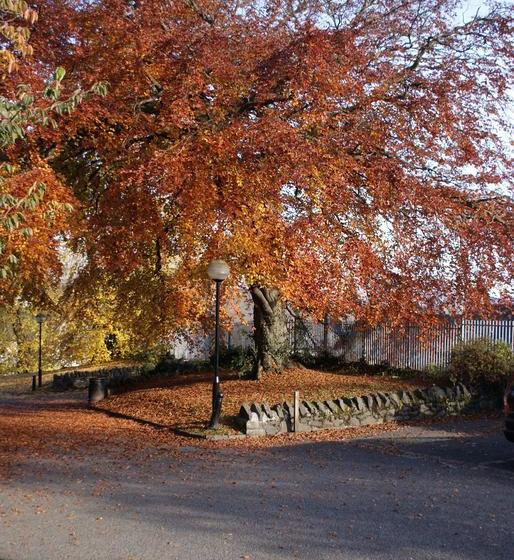 Stirling Syha Hostelling Scotland