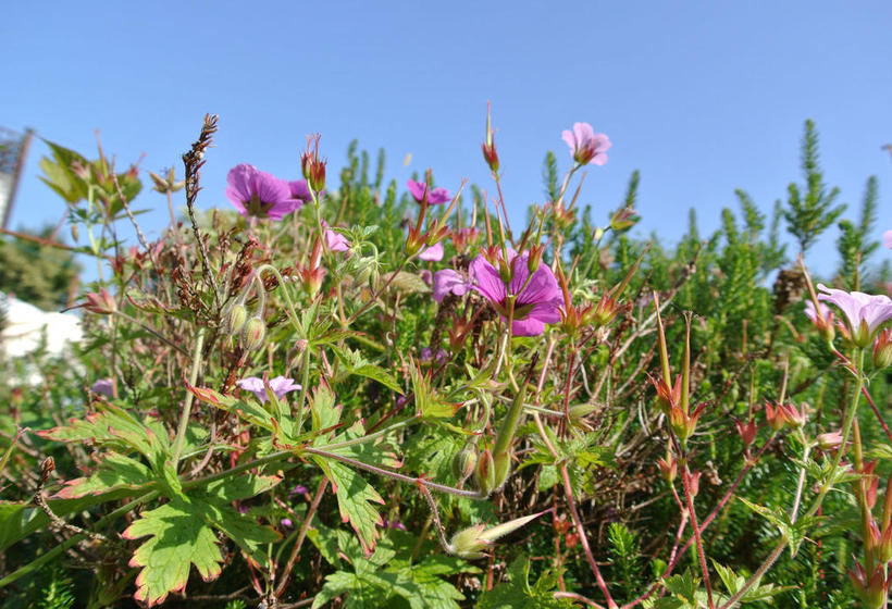 Bay View Bed And Breakfast 8