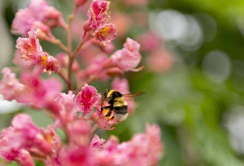 Herberge Yha Coverack 18