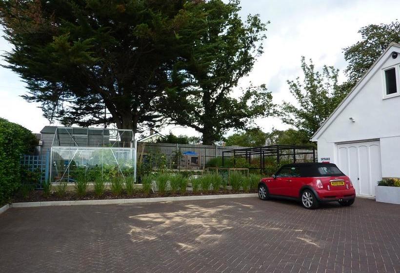 The White House Bed And Breakfast 14