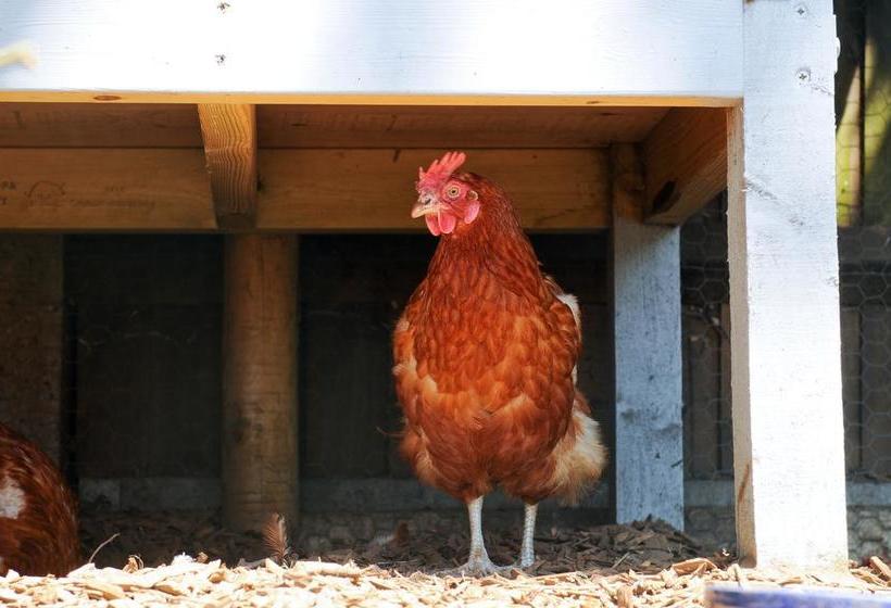 The White House Bed And Breakfast 18