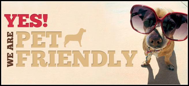 Bed and Breakfast Liza Inn 8