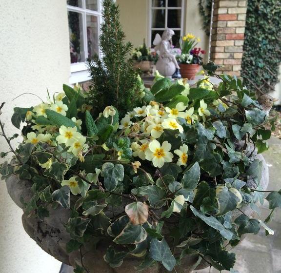 Bed & Breakfast Baileys At Springfields 7