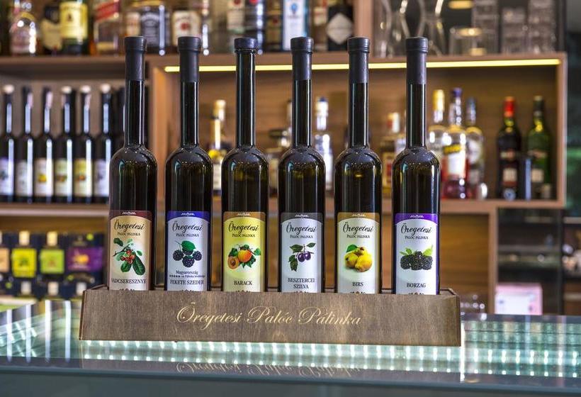 Castellum Hotel Hollóko 6