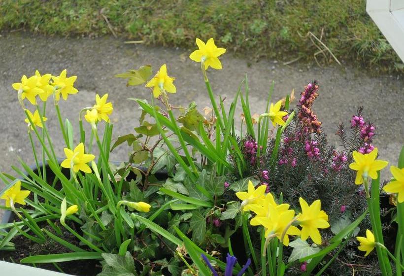 Wensleydale Farmhouse B&b 18