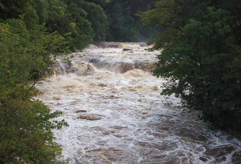 Wensleydale Farmhouse B&b 9