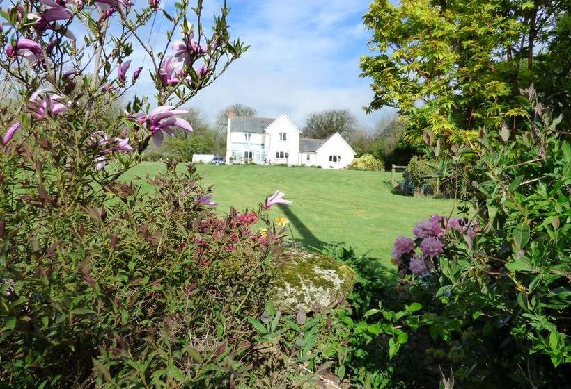 Bed and Breakfast Copper Meadow 4