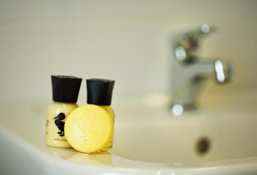 Bed and Breakfast Copper Meadow 5