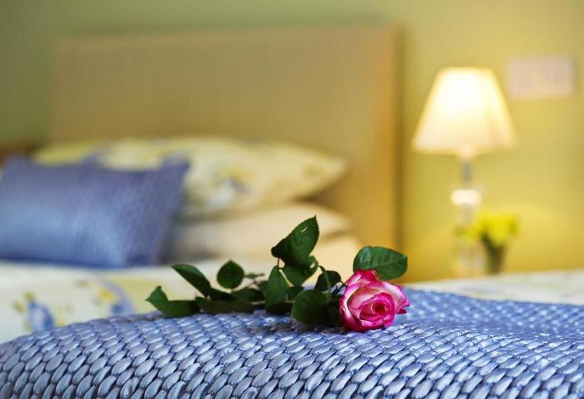 Bed and Breakfast Copper Meadow 7