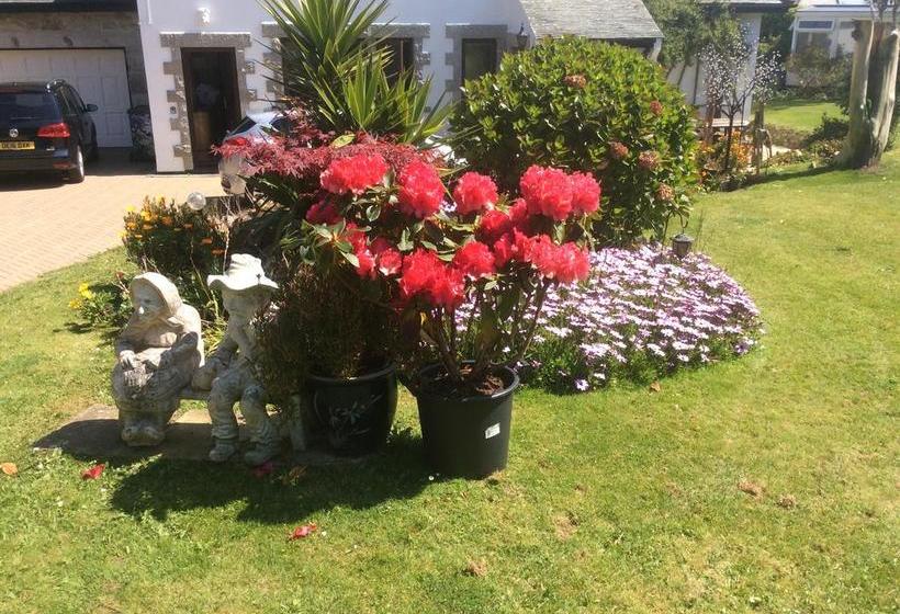 Bed and Breakfast Rathlena