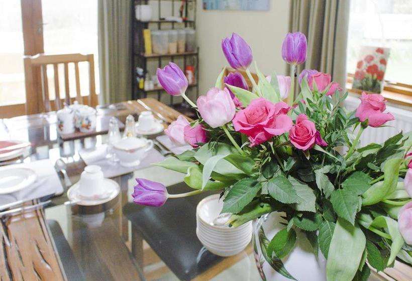 Bed and Breakfast Rathlena 10