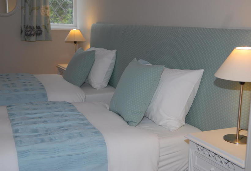 Bed and Breakfast Halwell Lodge 10