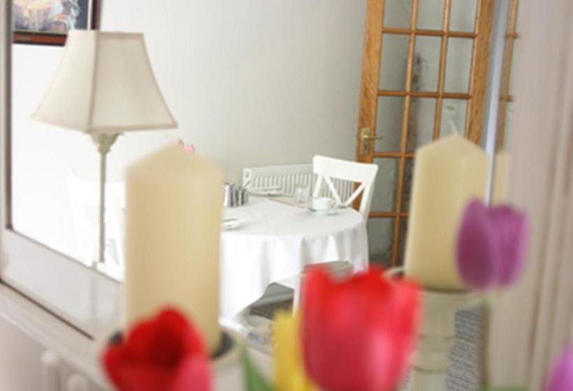 Bed and Breakfast Halwell Lodge 5