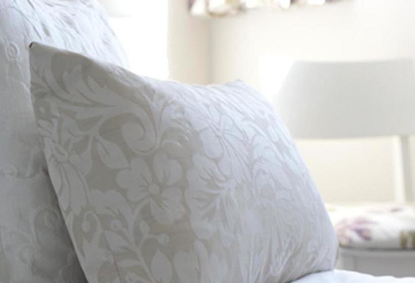 Bed and Breakfast Halwell Lodge 7