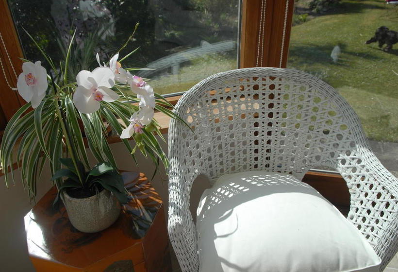 Bed and Breakfast Halwell Lodge 8