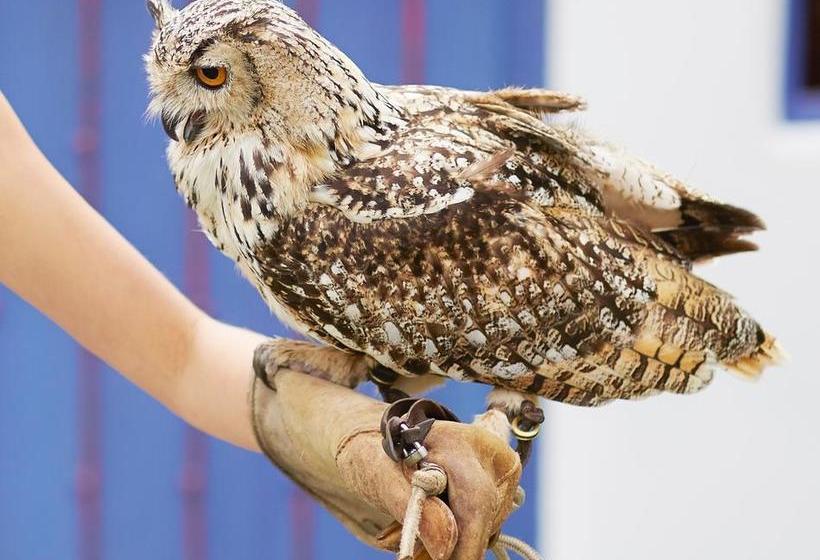 Bed and Breakfast Lower Barns Guest House 17