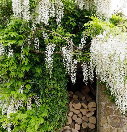 Bed and Breakfast Treweens 11