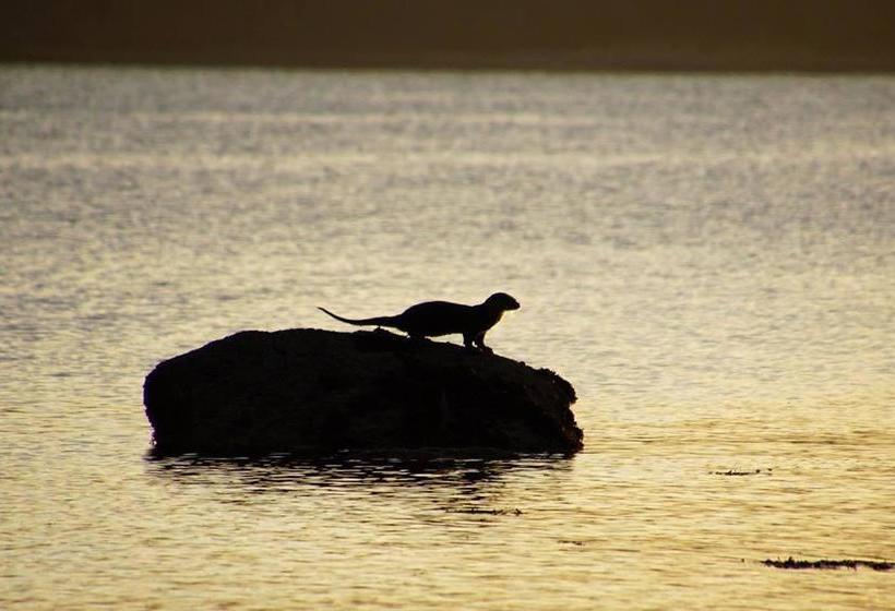 Bed and Breakfast Botanica 13