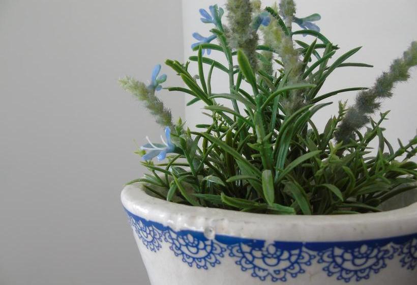 Bed and Breakfast Botanica 4