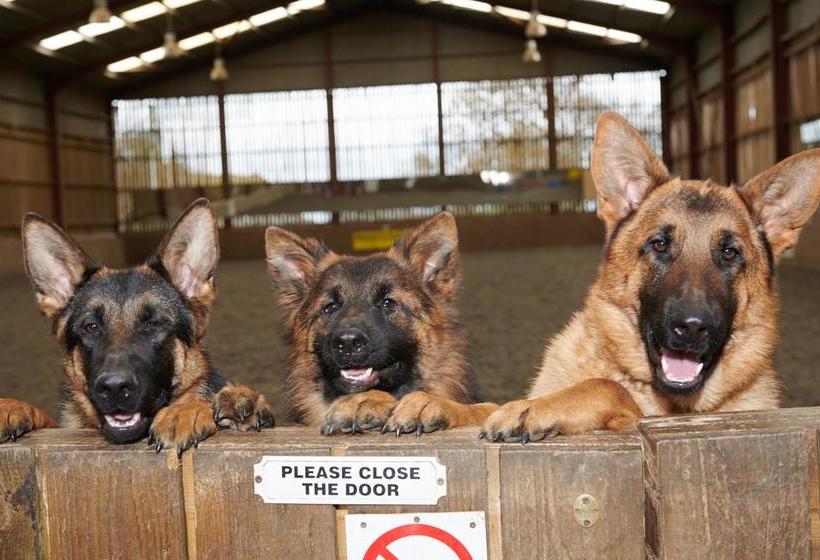 Farm View Hall Bed And Breakfast 12