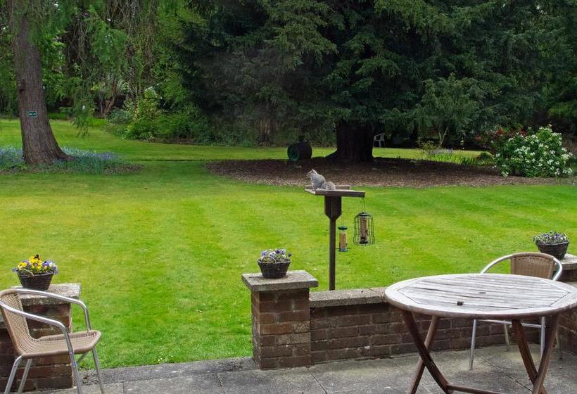 Bed & Breakfast Claridge House 12