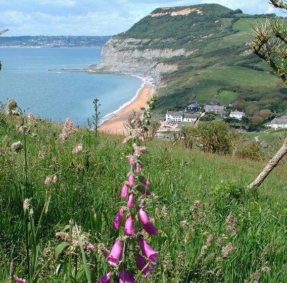 Bed and Breakfast New House Farm