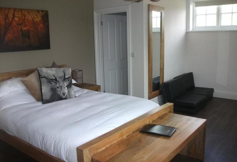 Bed and Breakfast The Trusty Servant 1