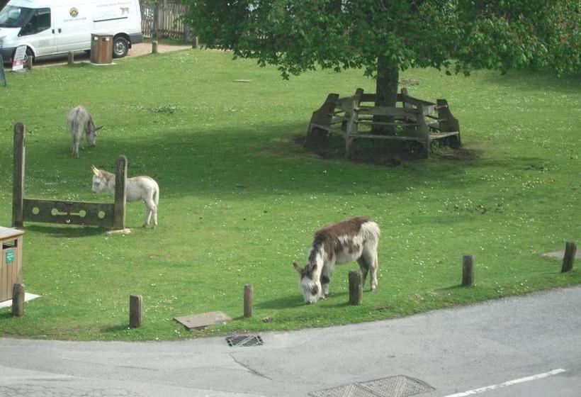 Bed and Breakfast The Trusty Servant 5