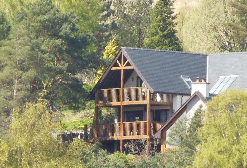 Bed and Breakfast Treetops