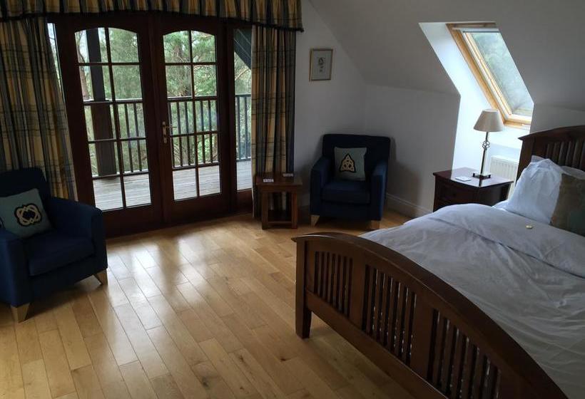 Bed and Breakfast Treetops 14