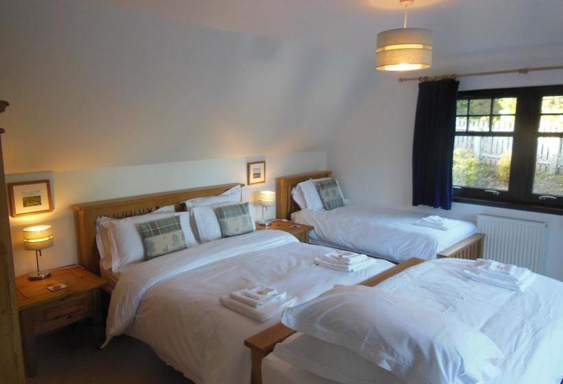 Bed and Breakfast Treetops 15