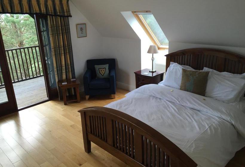 Bed and Breakfast Treetops 6