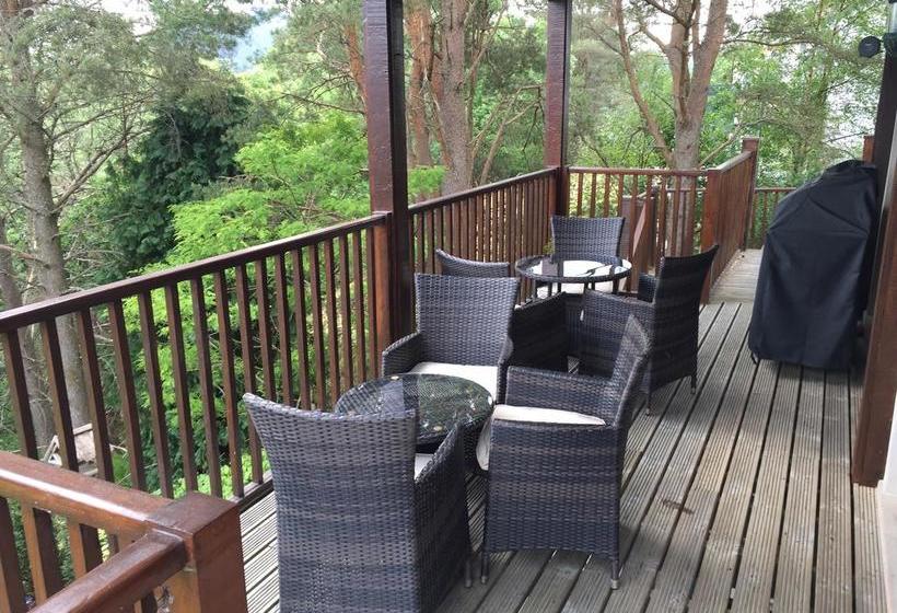 Bed and Breakfast Treetops 8