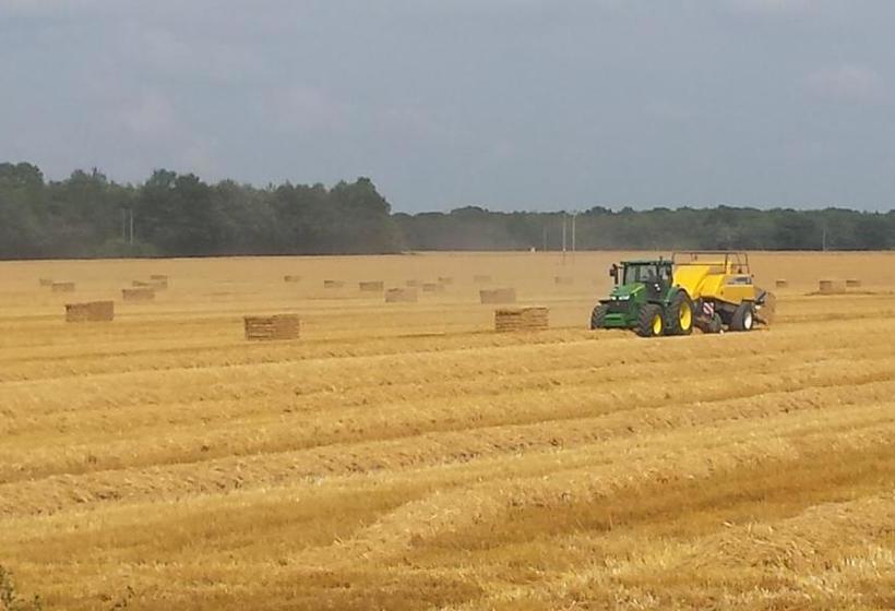 Bed and Breakfast Chimneys Bed&Breakfast