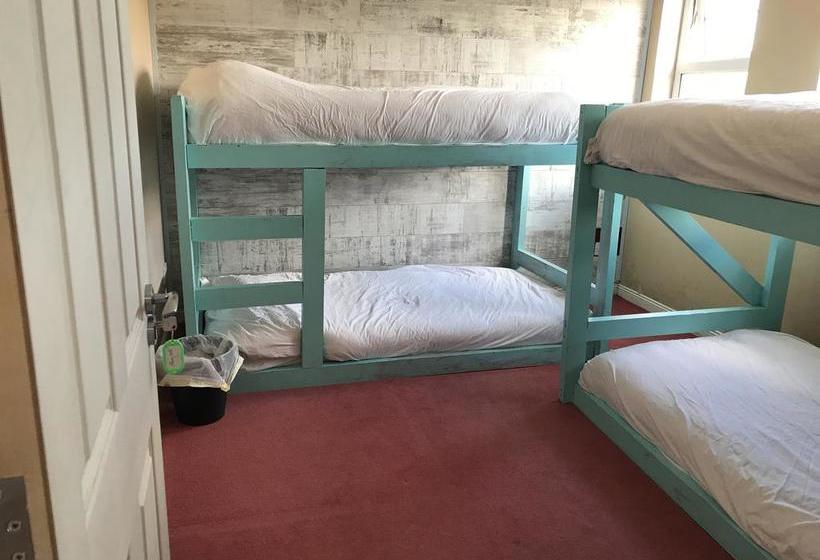Finn Mccools Giants Causeway Hostel 13
