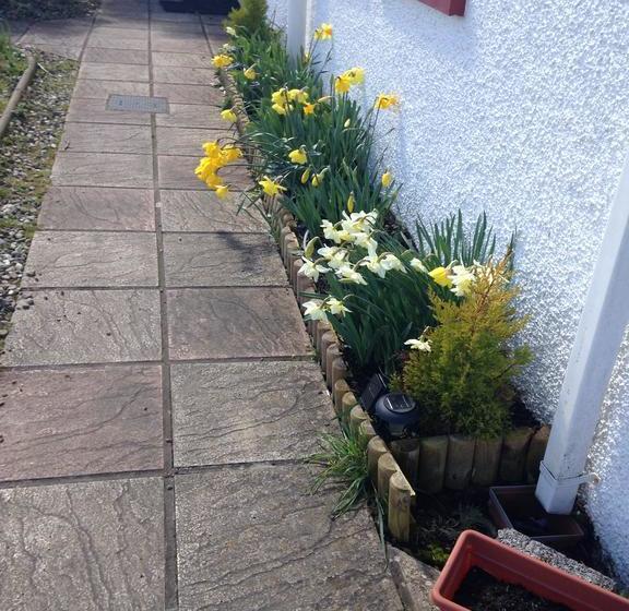 Finn Mccools Giants Causeway Hostel 16