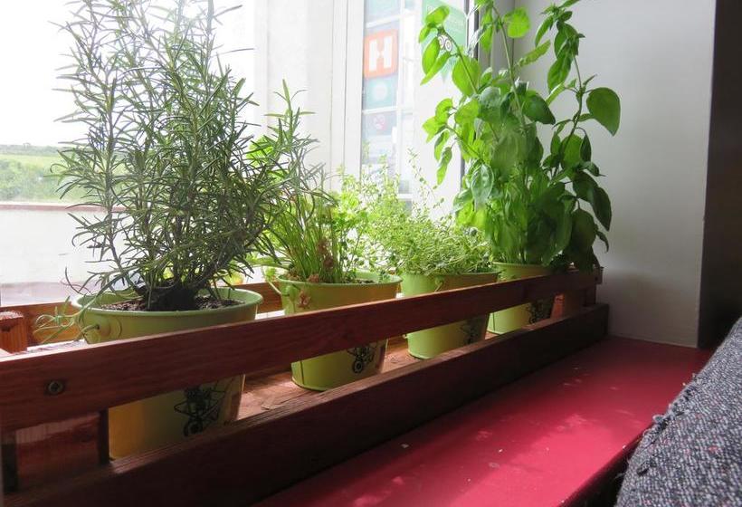 Finn Mccools Giants Causeway Hostel 7