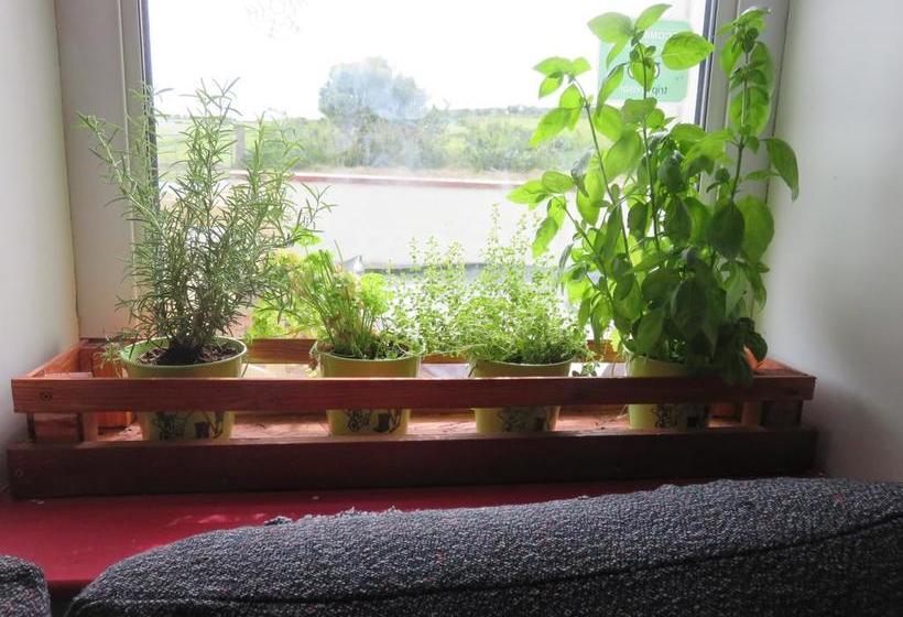 Finn Mccools Giants Causeway Hostel 8