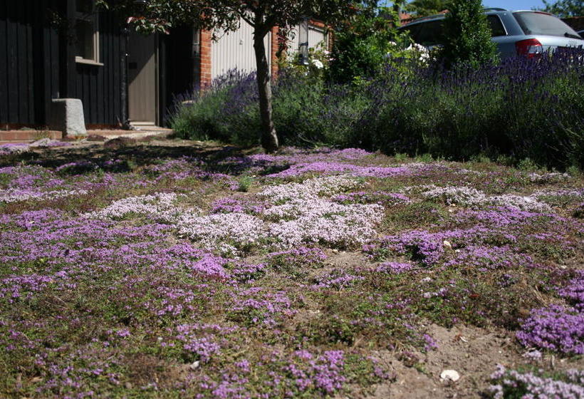 Bed and Breakfast Reeds Barn 12