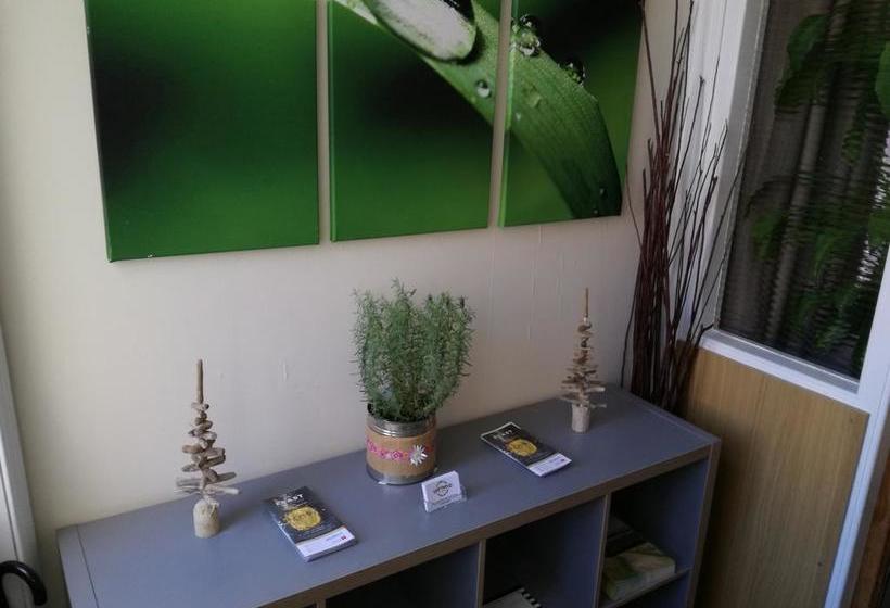 Bed and Breakfast Driftwood Bed&Breakfast Weymouth 10