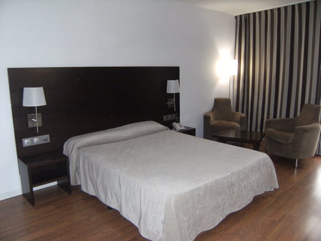 Hotel Maza  | Zaragoza | Zaragoza | España 4