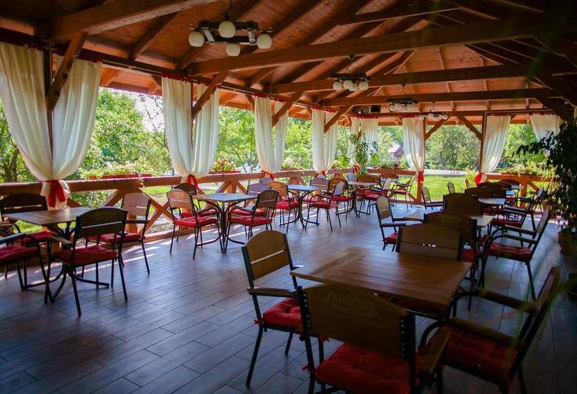 Hotel Pansionat Bogema