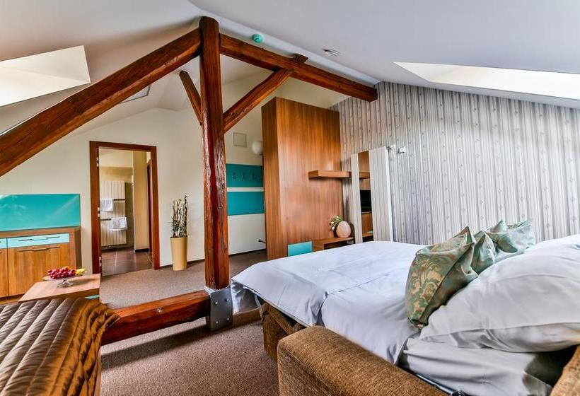 Hotel Villa Aurelie 17