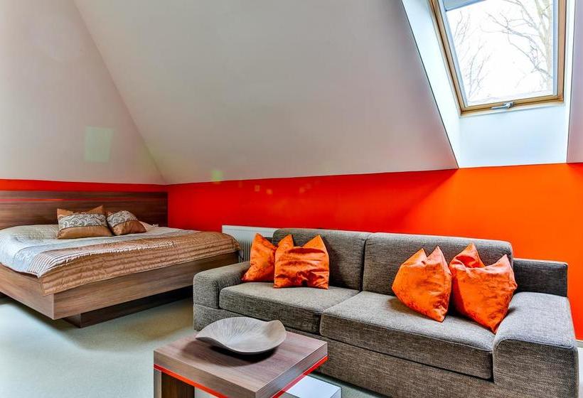 Hotel Villa Aurelie 6