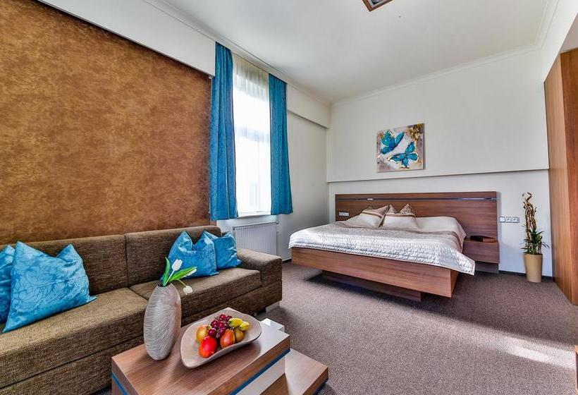 Hotel Villa Aurelie 8